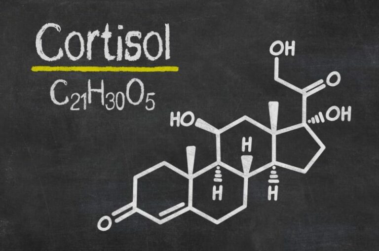 Cortisol hormone