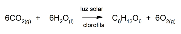 Chemical changes