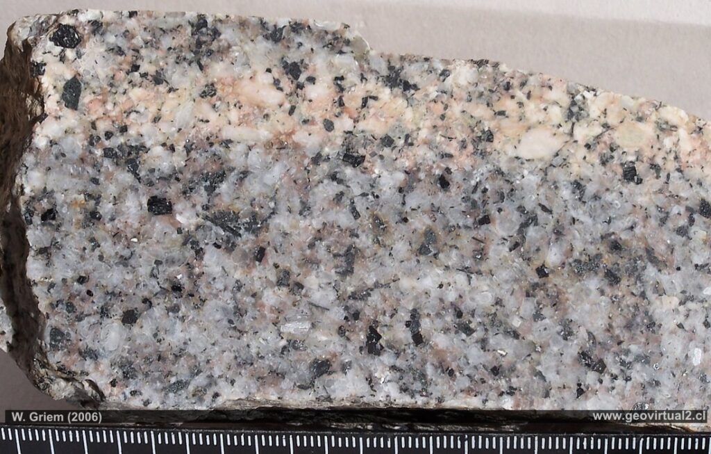 Igneous rock granodiorite