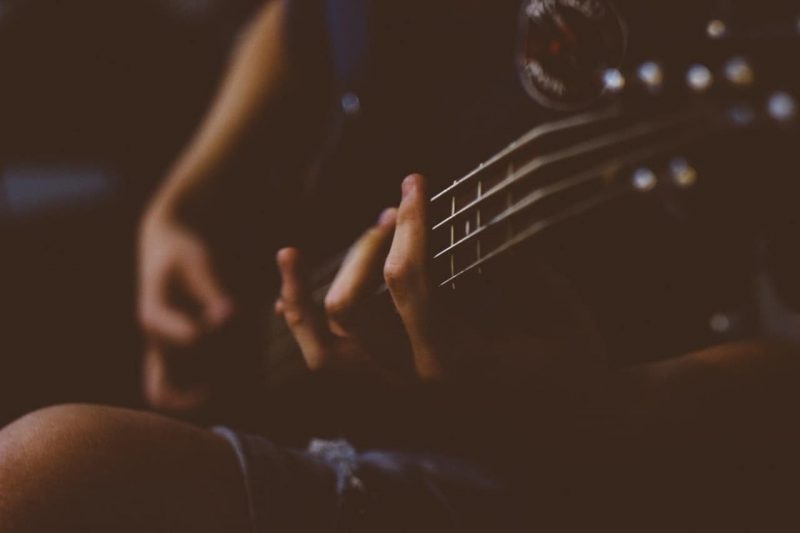 20 Examples of String Instruments 2 bass - string instrument