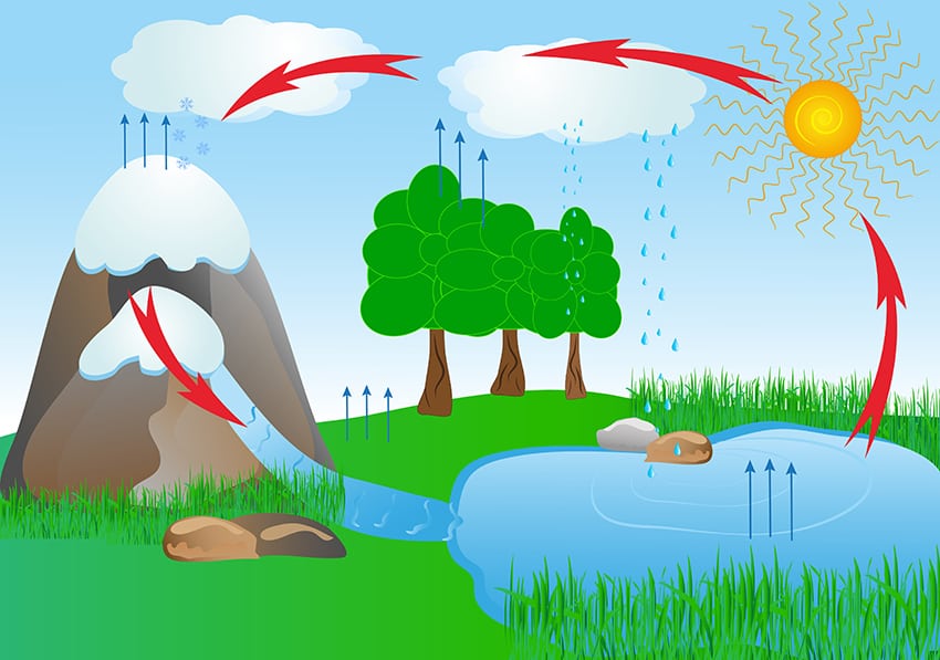 Water cycle.