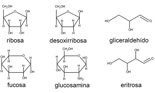 Monosaccharides