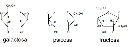 30 Examples of Monosaccharides, Disaccharides and Polysaccharides