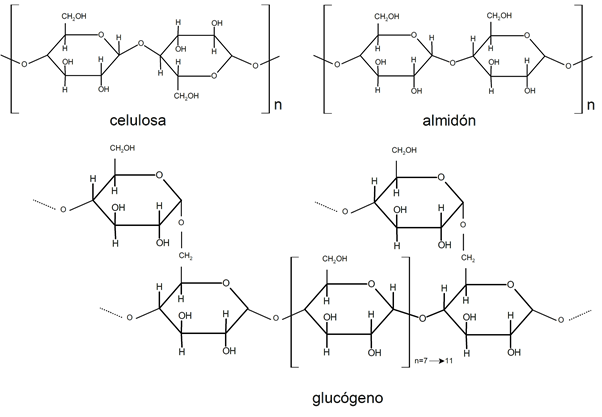 Polysaccharides