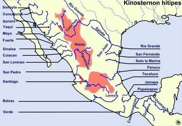 20 Examples of Rivers of Central America
