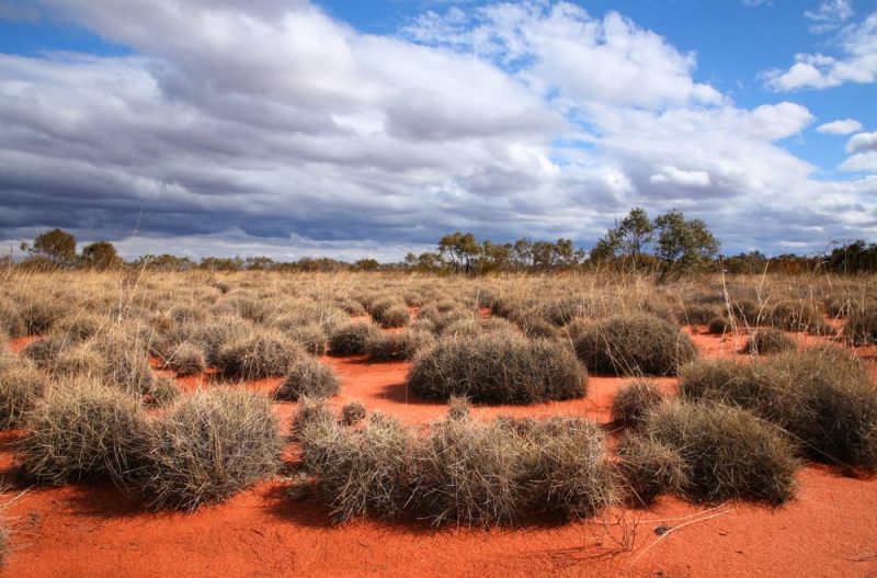 Great Victoria Desert - Australia