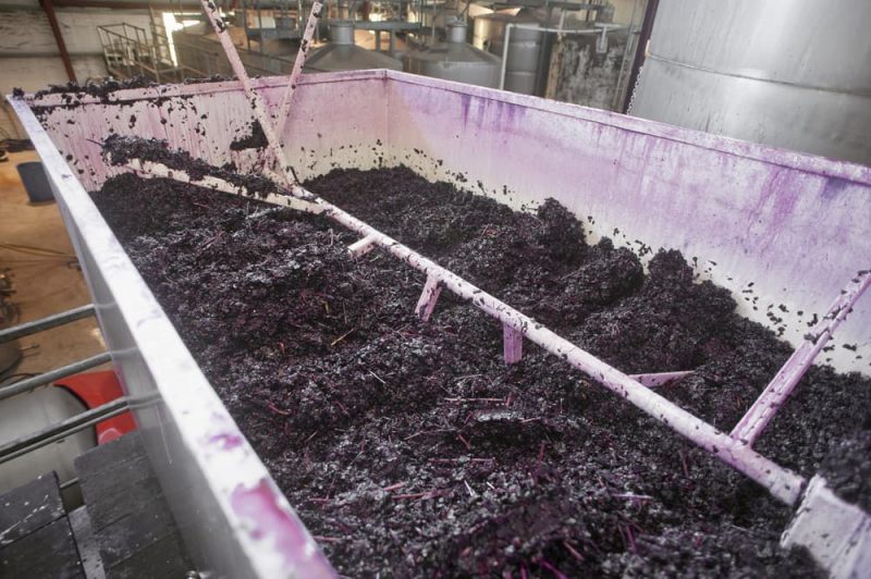 10 Fermentation Examples Examples Lab