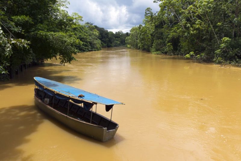 amazon - river and jungle