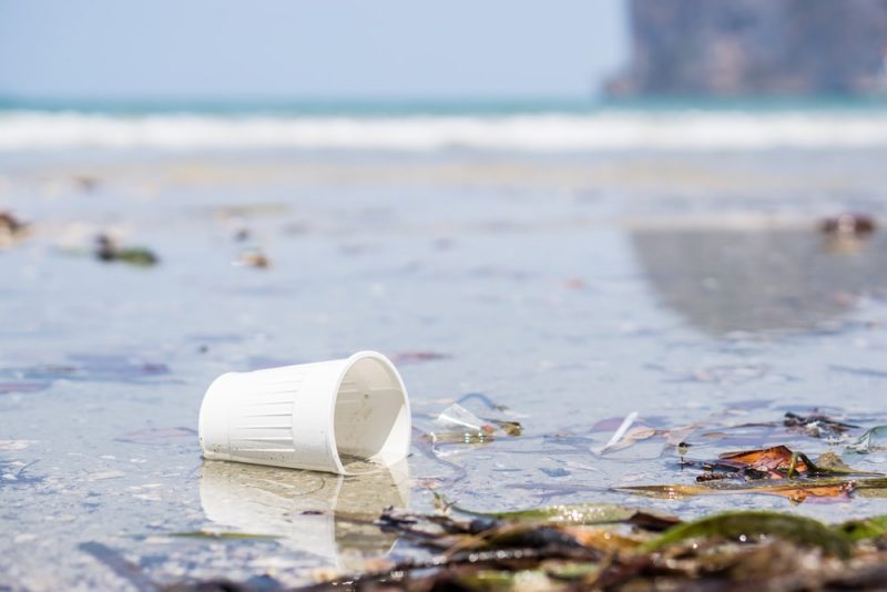 Advantages and disadvantages of oil 3 plastic polluting water