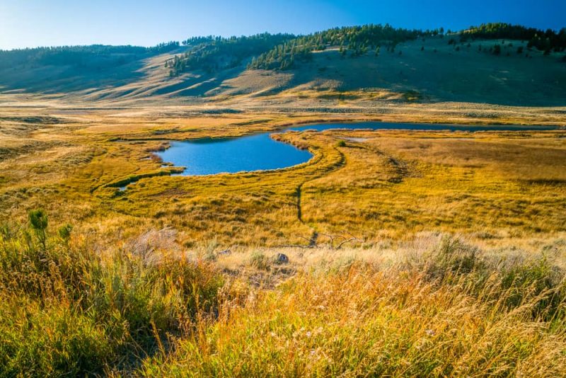 Prairie - landscape and biome