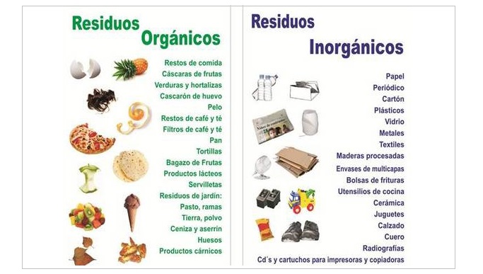 organic and inorganic waste