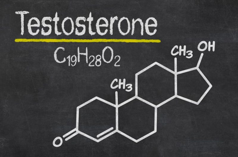 testosterone - hormones