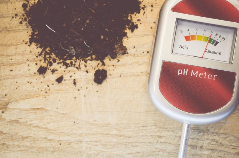 voltmeter to measure ph