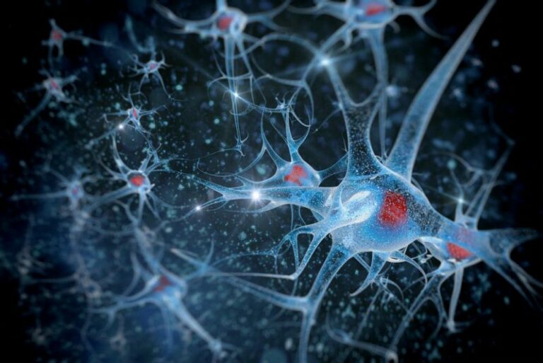 active neurotransmitters in the brain