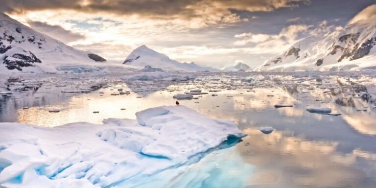 Antarctica