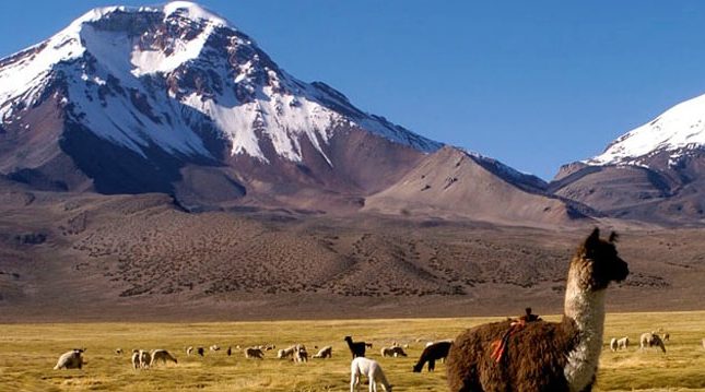 Andean highlands