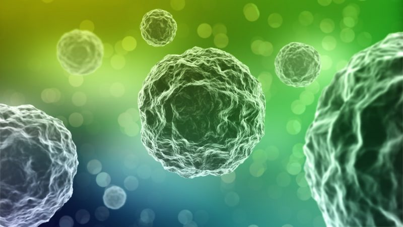Examples of Primary, Secondary and Tertiary Barriers 2 bacteria - single-celled organisms