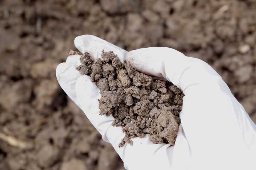 soil contamination