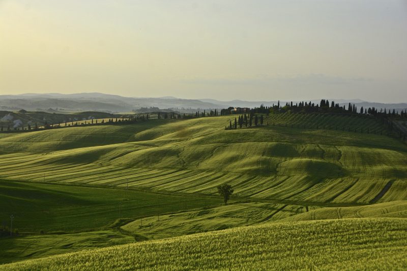15 Examples of Plains 2 european plain - italy