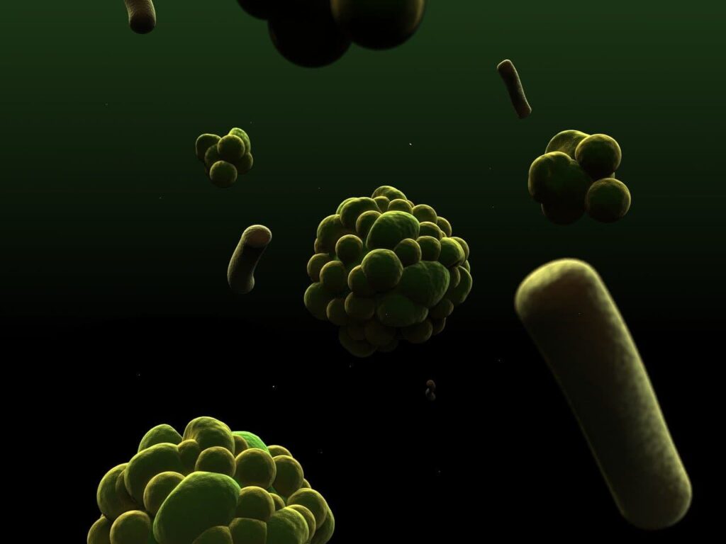 Microorganisms