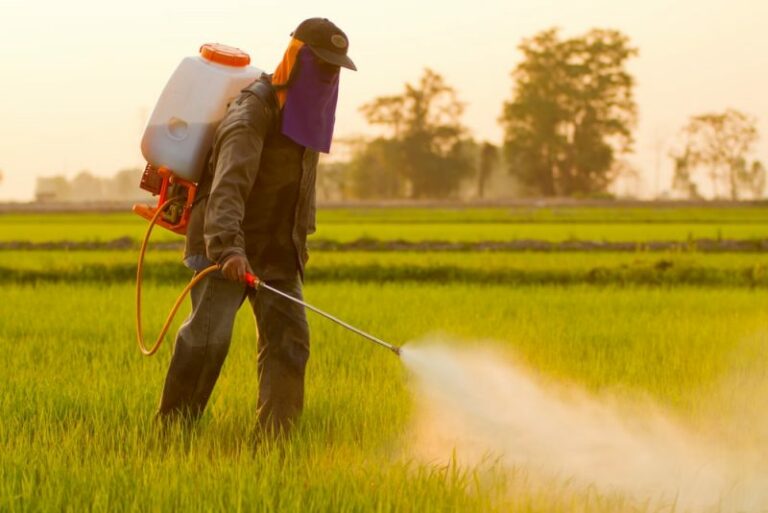pesticides - chemicals