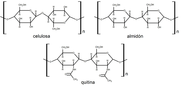 natural polymers