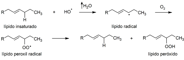 peroxidation 