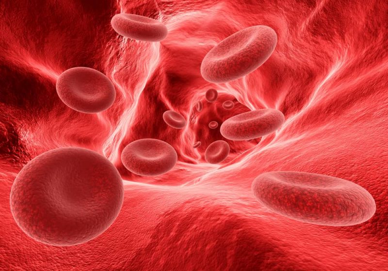 30 Examples of Chemistry in Everyday Life 4 red blood cells