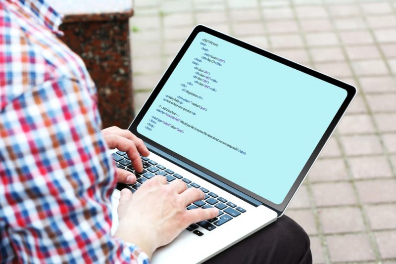 30 Examples of Hardware and Software 1 monitor - peripheral output