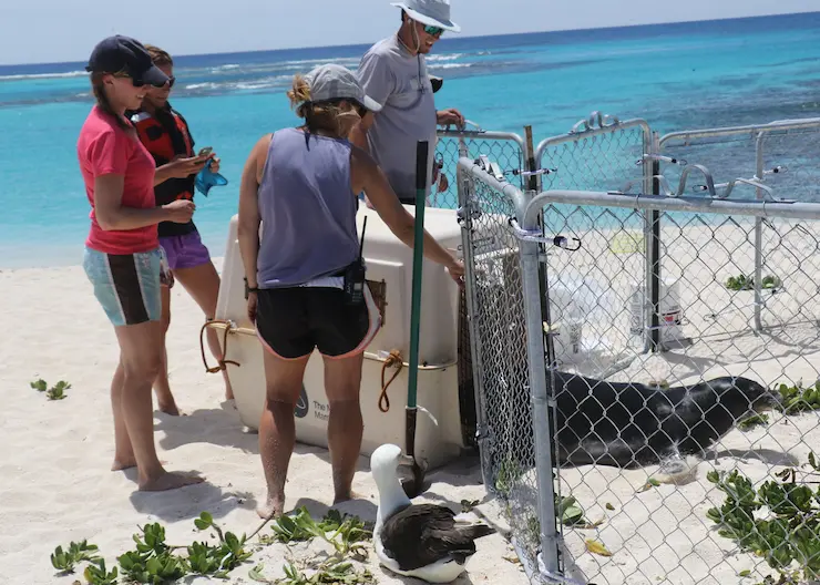 Biologists on a beach